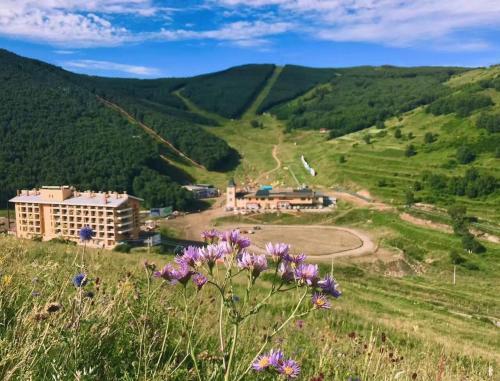 Чжанцзякоу: Zhangjiakou Dolomiti White Birch Hotel
