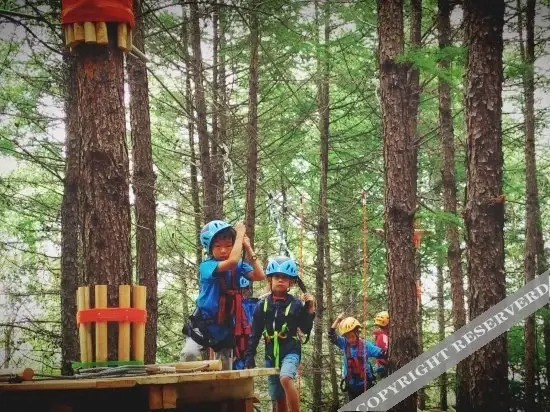 Чжанцзякоу: Zhangjiakou Dolomiti White Birch Hotel