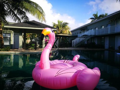 Ваньнин: Hainan Happy Time Party Hostel