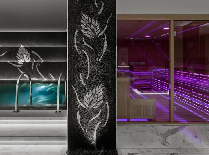 Москва: Гостиница Four Seasons Hotel Moscow