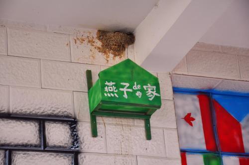 Пучжэхэй: Blooming Azaareas International Youth Hostel