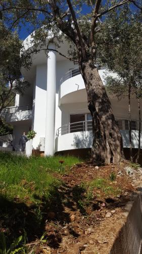 Ульцинь: Apartments Sirena