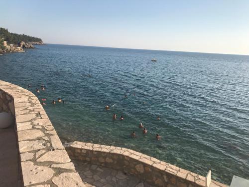 Сутоморе: Guesthouse Montex