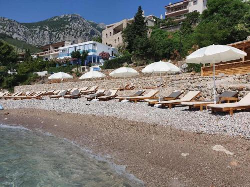 Сутоморе: Guesthouse Montex