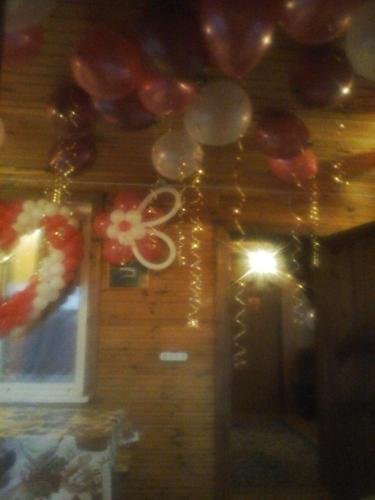 Сергиев Посад: Guest House Konstantinovo
