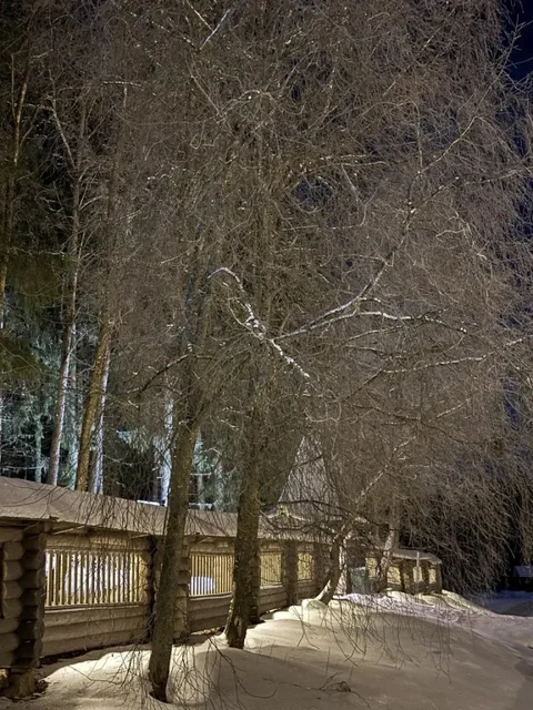 Рауталахти: Времена Года