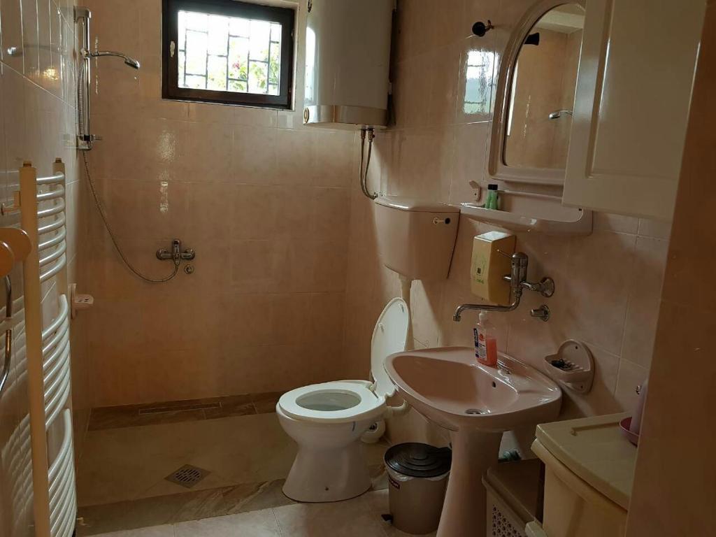 Бар: Apartments Astel
