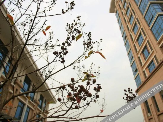 Фучжоу: Longfeng Hotel