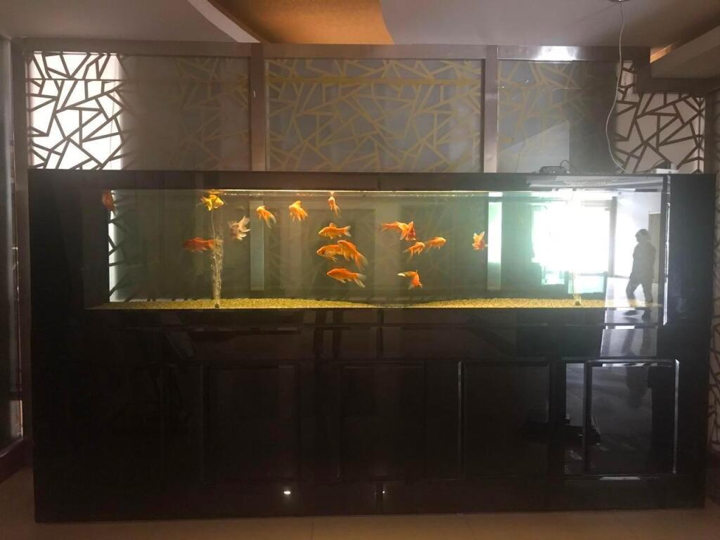 Баодин: 7 Days Premiuma Baoding Zhuozhou Development Zone