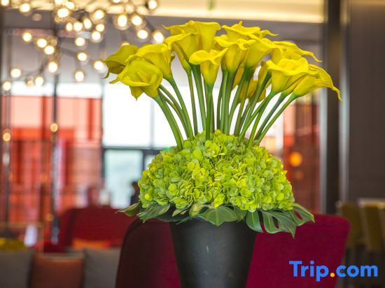 Чжэнчжоу: Hampton by Hilton Zhengzhou Zhengdong New District