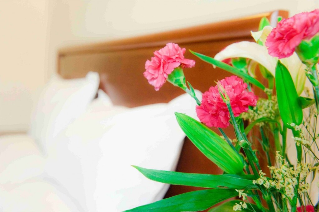 Чанчжоу: GreenTree Inn Changzhou Jinghu High-speed Rail North Station Global Dinosaur City Hotel