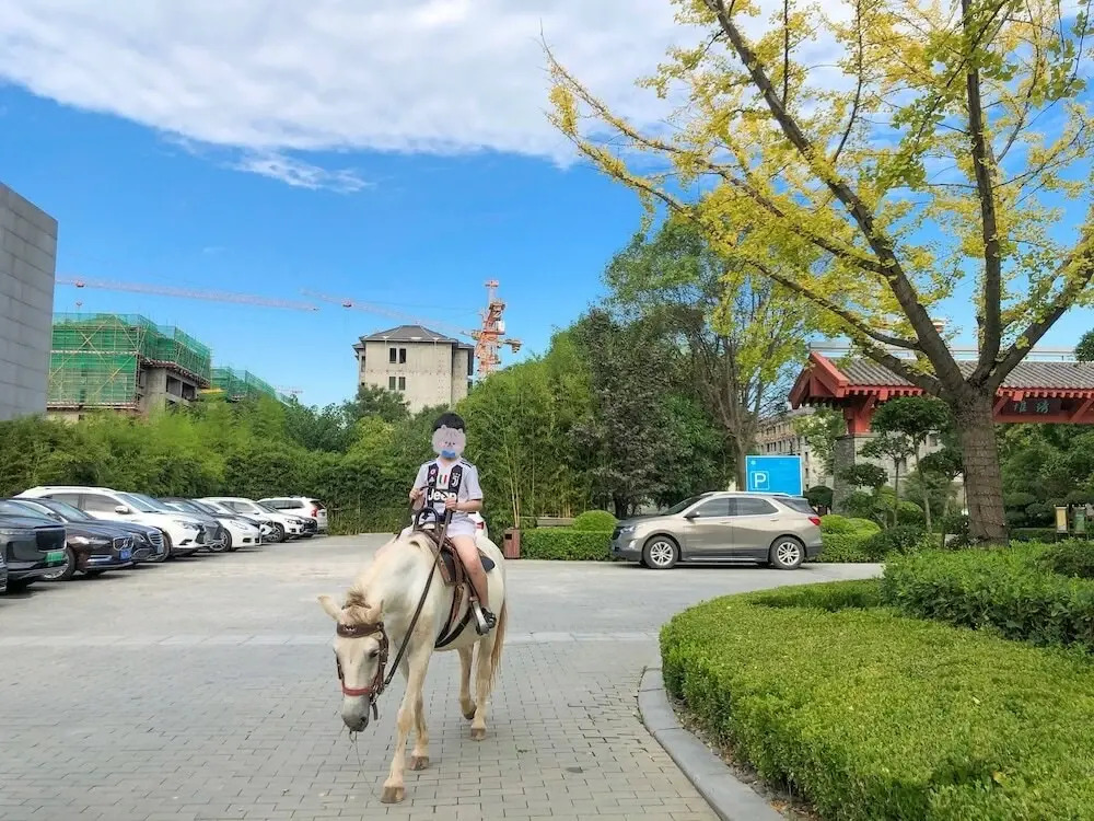 Сиань: Angsana Xi An Lintong