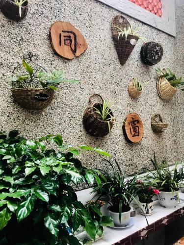 Лунъянь: Tingzhou Tongchuang Hostel