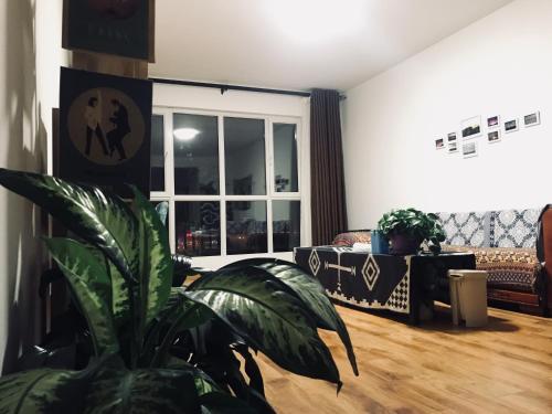 Хулун-Буир: Hulunbuir Dream Horse Hostel
