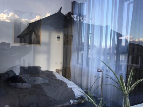 Дали: Island & Stars Hostel