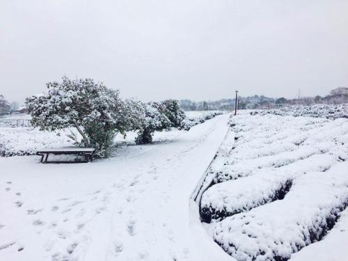 Ханчжоу: Hang Zhou West Lake Yi Ling Homestay