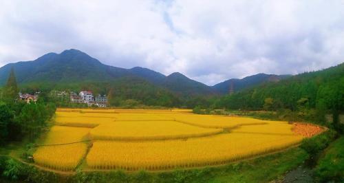 Тайчжоу: Qiongtai Xiangu Lakeside Garden Homestay