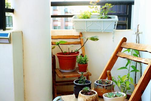 Наньнин: Nazar Boncuğu Hostel