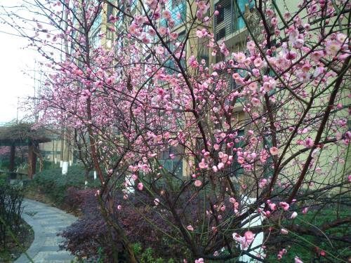 Сучжоу: Xinrun Homestay