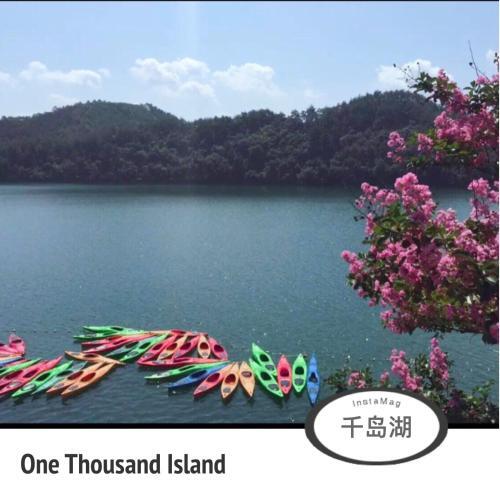 Ханчжоу: Thousand Island Lake Book&Bed International Youth Hostel