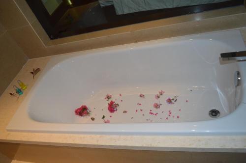 Чжоушань: Lao Cuo Zhai Ren Apartment