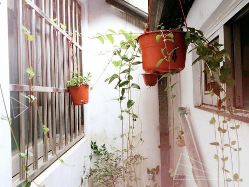 Сучжоу: Guanqian Pingjiang Road Zhuozheng Garden Lion Forest Su Style Residence