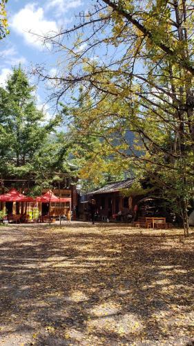 Баошань: Yinxing Village Qianyegui Homestay