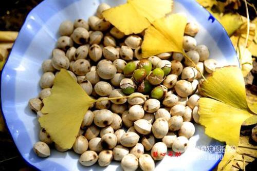 Баошань: Yinxing Village Qianyegui Homestay