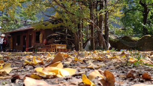 Баошань: Yinxing Village Qianyegui Homestay