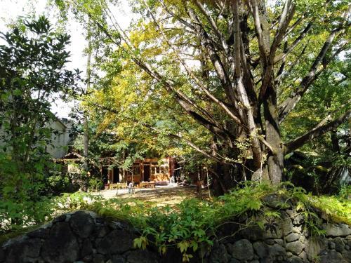 Баошань: Yinxing Village Qianyegui Homestay