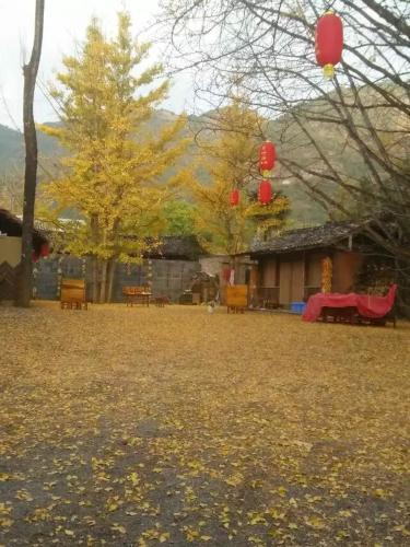 Баошань: Yinxing Village Qianyegui Homestay