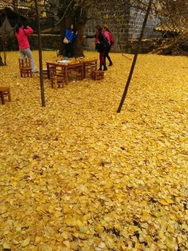 Баошань: Yinxing Village Qianyegui Homestay