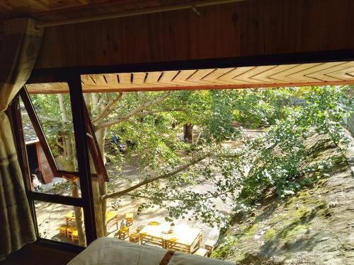 Баошань: Yinxing Village Qianyegui Homestay