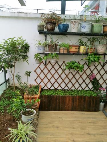 Хуаншань: Huangshan Sanggehua Homestay Bus Station