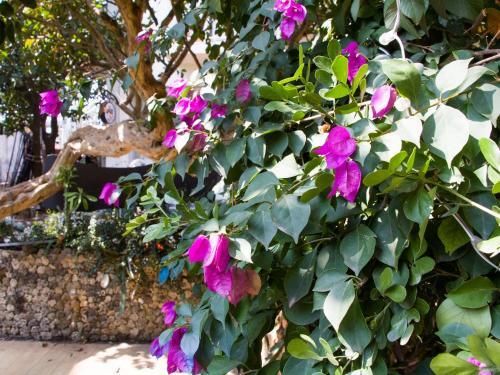 Бэйхай: You Lan Seaview Homestay