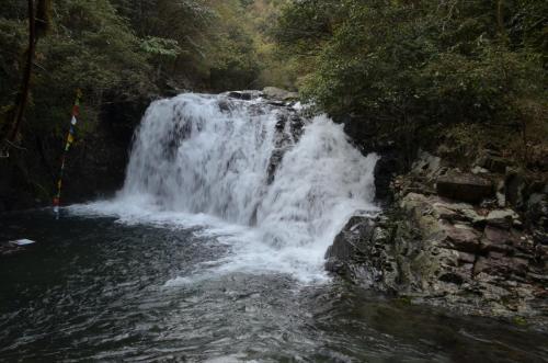 Шанграо: Wuyuan Yuanxitang Homestay