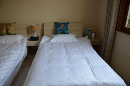 Шанграо: Wuyuan Yuanxitang Homestay