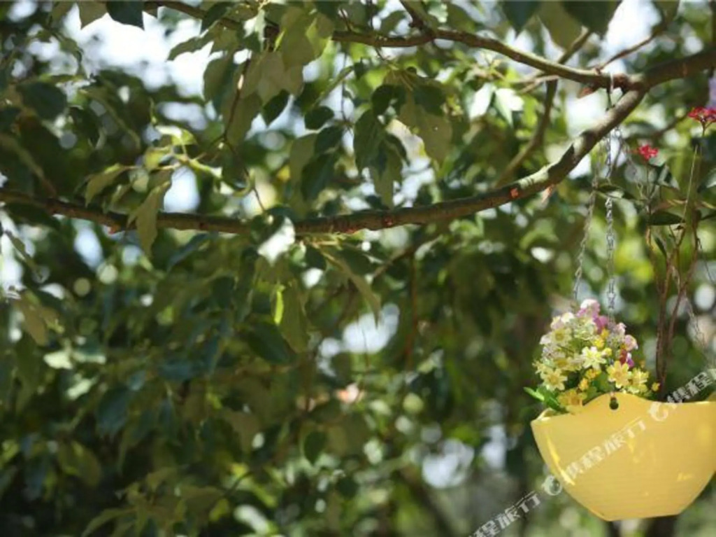Путянь: Meizhoudao Hai'Anbian Villa Garden Hotel