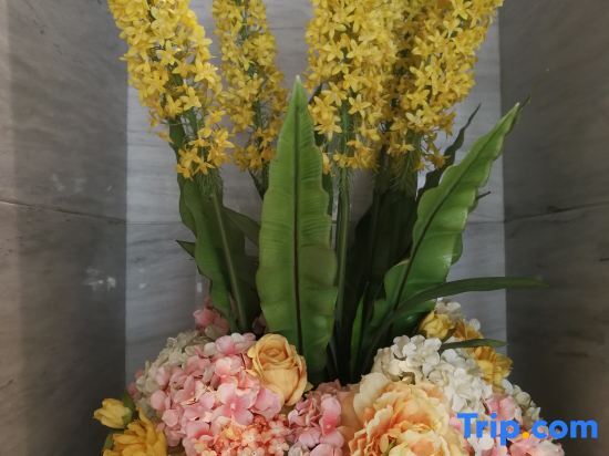 Наньнин: City convenient Nanning Haiji xing Hotel