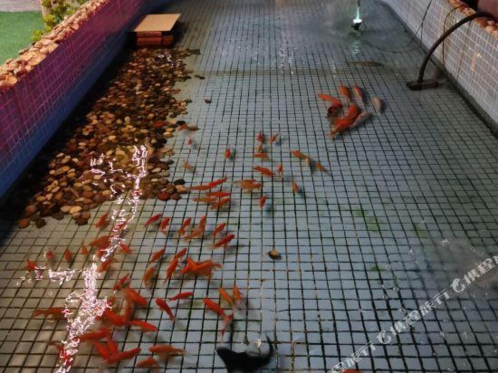 Шэньчжэнь: Disi Premium Hotel (Shenzhen Longdong Subway Station)