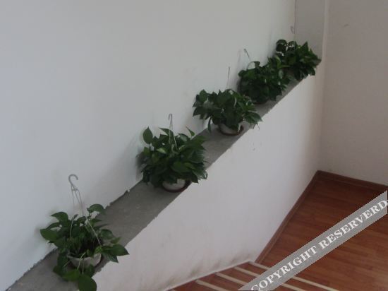 Чжэнчжоу: Zhengzhou 9-day Qianhe Hotel