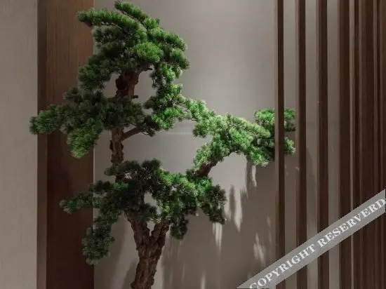 Чунцин: Bo'ersi Hotel (Chongqing International Expo Center)