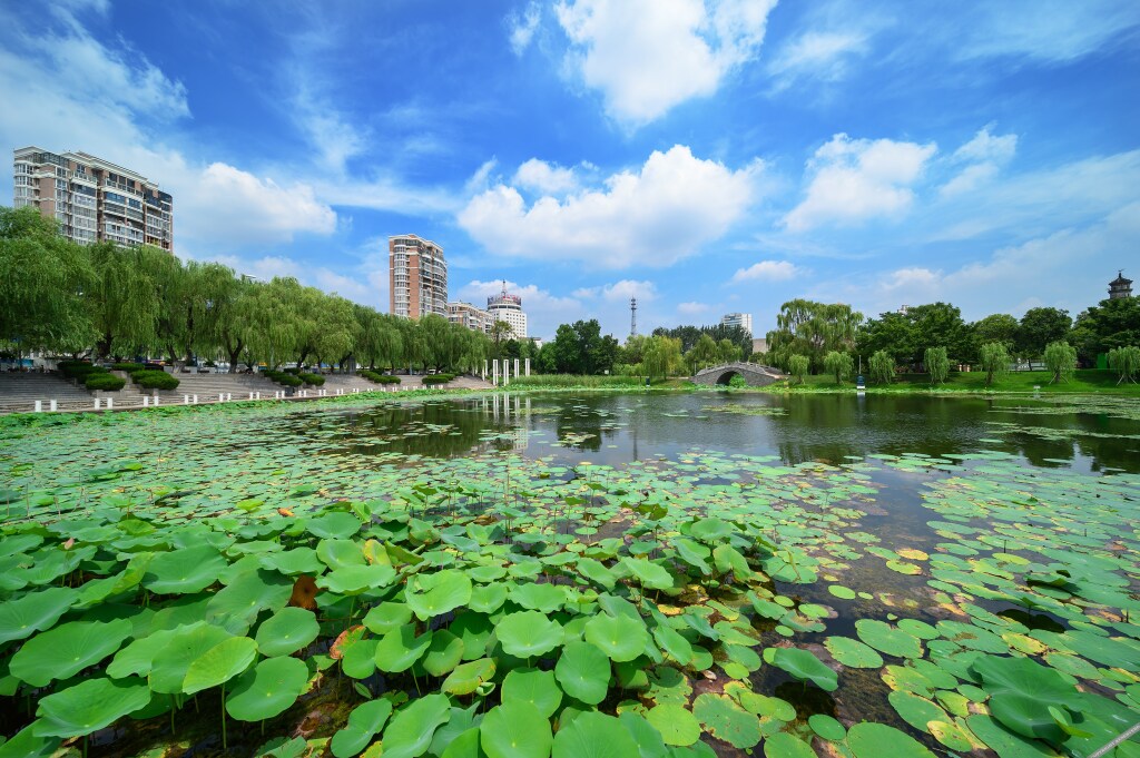 Фуян: Fuyang Moli Dongyuan Minfeng Hotel (Fuyang Center International Trade Shop)