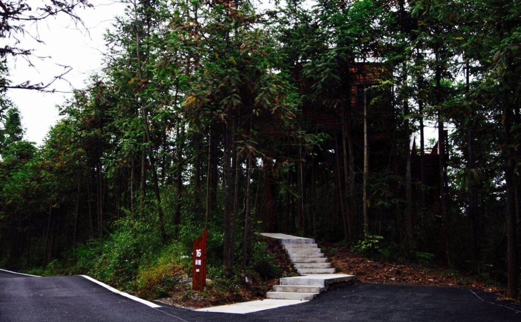 Хуаншань: ZYJ Treehouse Land Huangshan Qiyun