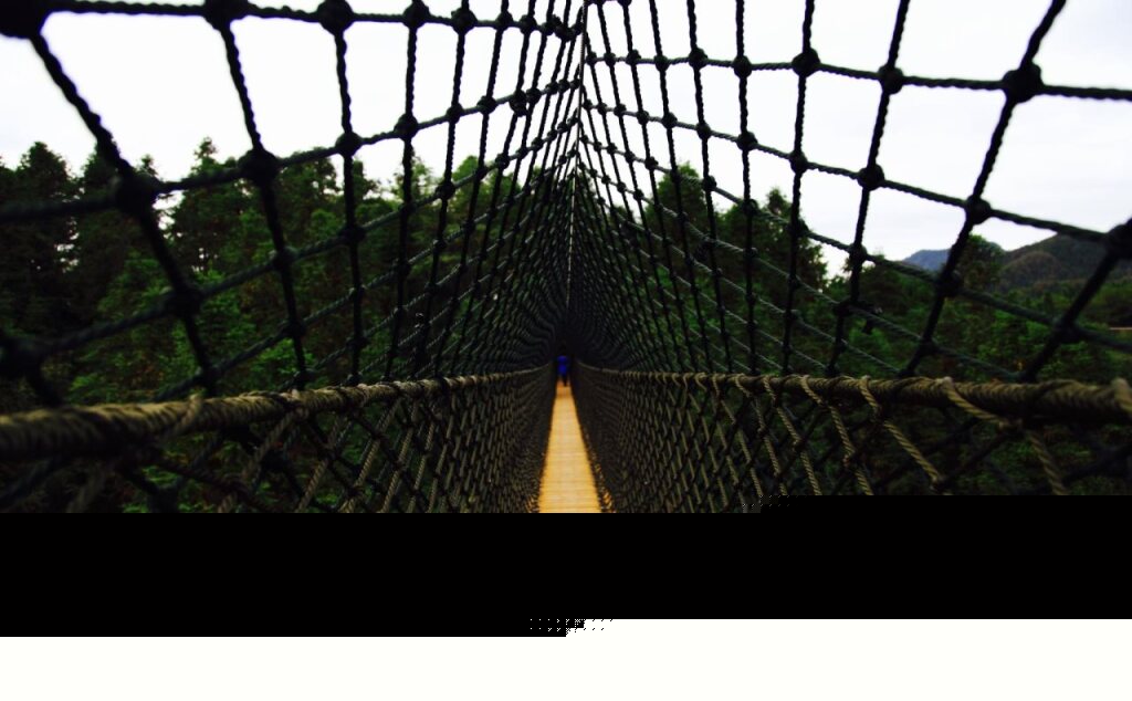 Хуаншань: ZYJ Treehouse Land Huangshan Qiyun