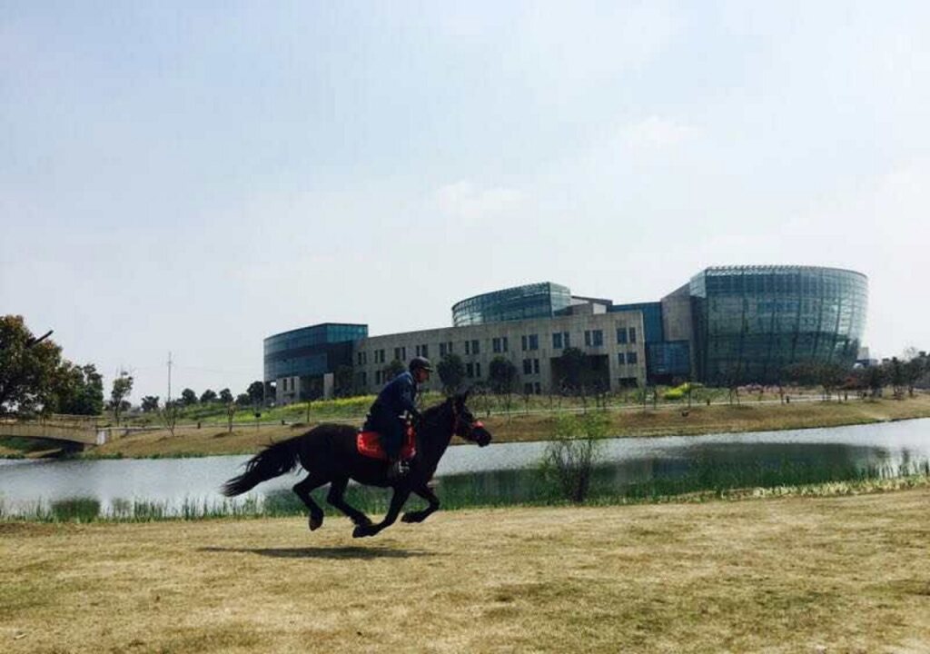 Чанчжоу: Mingdu Ziwei Garden Hotel