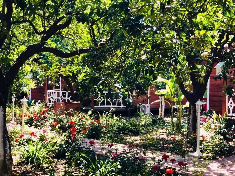 Чамьюва: Eliz inn Garden