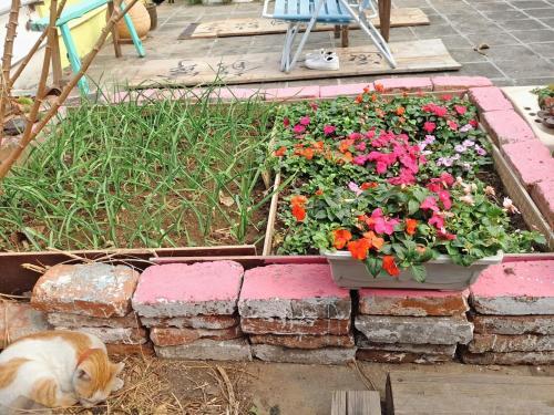 Фошань: Foshan School Age Hostel