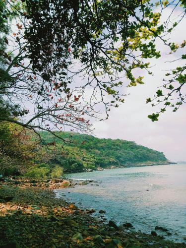 Консон: Minh Minh Homestay