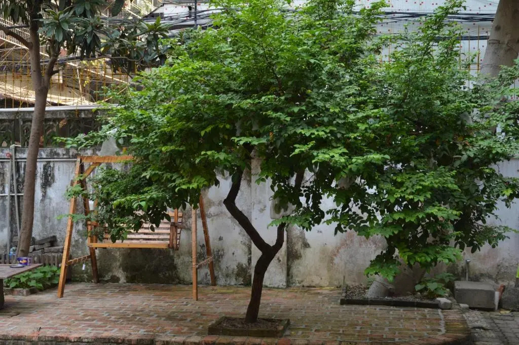 Шаньтоу: 6 Cuobian Hostel